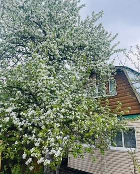 Дача 40м², 2-этажный, участок 6 сот.