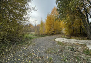 Дом 60м², 1-этажный, участок 9 сот.