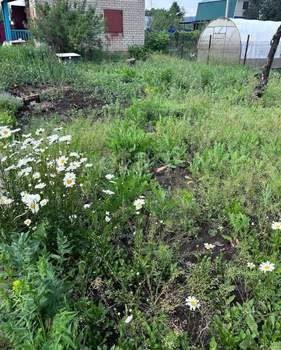 Дом 30м², 2-этажный, участок 5 сот.