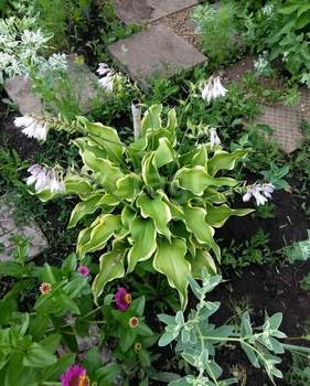 Дом 26м², 2-этажный, участок 3 сот.