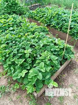 Дом 46м², 1-этажный, участок 5 сот.