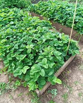 Дом 46м², 1-этажный, участок 5 сот.