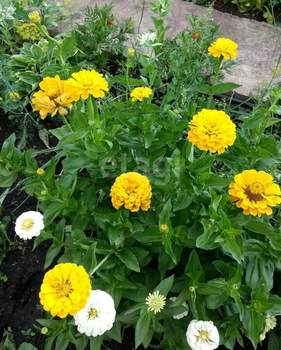 Дом 26м², 2-этажный, участок 3 сот.