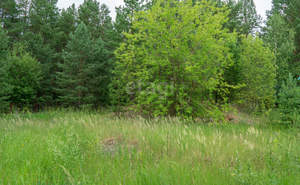 Дом 20м², 1-этажный, участок 13 сот.