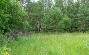 Дом 20м², 1-этажный, участок 13 сот.