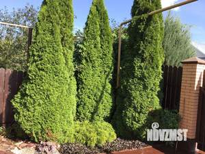 Коттедж 290м², 2-этажный, участок 8 сот.