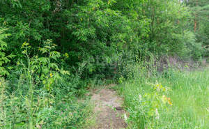 Дом 20м², 1-этажный, участок 13 сот.