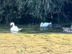 Дом 40м², 2-этажный, участок 5 сот.