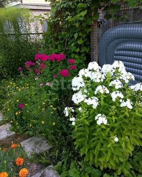 Дом 26м², 2-этажный, участок 3 сот.