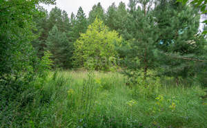 Дом 20м², 1-этажный, участок 13 сот.