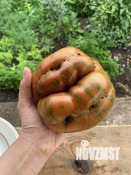 Дом 80м², 2-этажный, участок 6 сот.