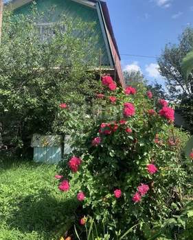 Дом 33м², 2-этажный, участок 4 сот.  