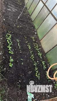 Дом 20м², 1-этажный, участок 5 сот.  