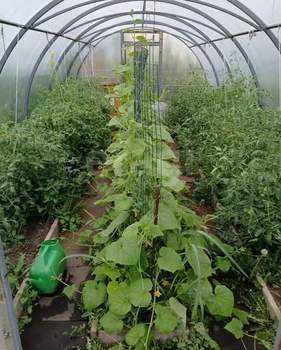 Дом 22м², 2-этажный, участок 3 сот.  