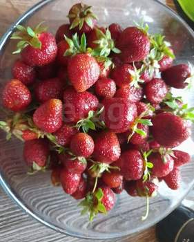 Дом 30м², 2-этажный, участок 5 сот.  