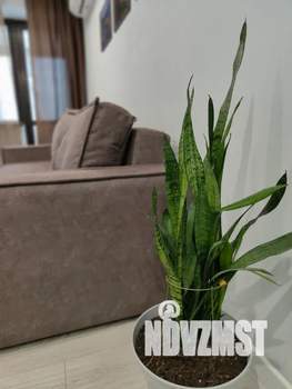 1-к квартира, посуточно, 39м2, 18/25 этаж