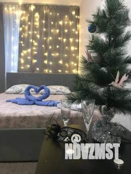 Студия квартира, посуточно, 22м2, 7/10 этаж