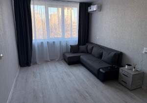 1-к квартира, на длительный срок, 30м2, 6/9 этаж