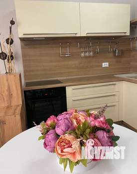 Студия квартира, на длительный срок, 30м2, 8/17 этаж