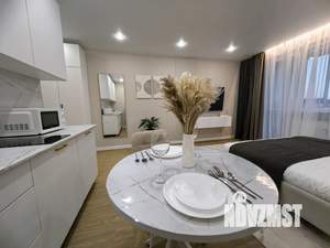 Студия квартира, посуточно, 28м2, 10/16 этаж