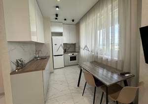 Студия квартира, на длительный срок, 45м2, 15/24 этаж