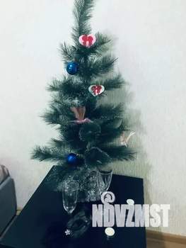 Студия квартира, посуточно, 22м2, 7/10 этаж