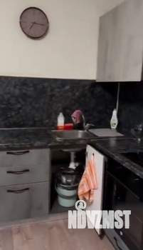 Студия квартира, на длительный срок, 28м2, 7/21 этаж