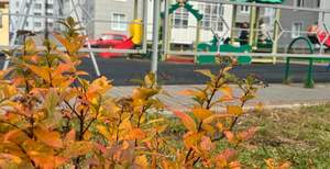 Студия квартира, вторичка, 22м2, 19/19 этаж